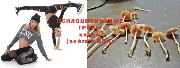 mdma Медвежьегорск
