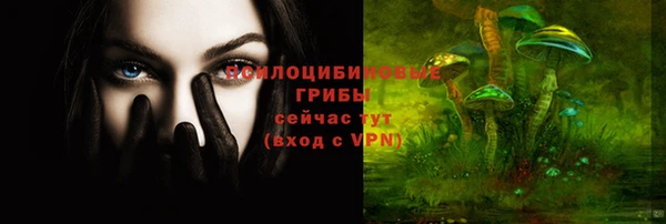 СК Мегион