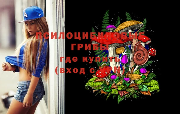 mdma Медвежьегорск
