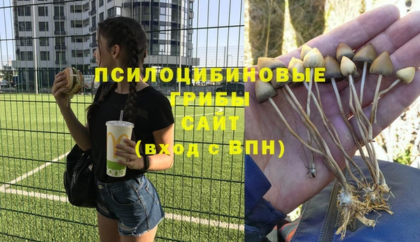 mdma Медвежьегорск