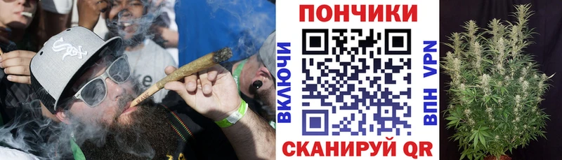Бошки марихуана White Widow  наркошоп  Щёлкино 